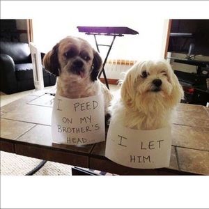 Meet your Posher, Zach